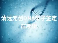 清远无创DNA亲子鉴定在哪里