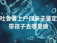 吐鲁番上户口亲子鉴定带孩子去哪里做