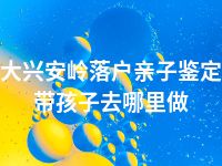 大兴安岭落户亲子鉴定带孩子去哪里做