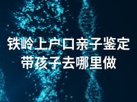 铁岭上户口亲子鉴定带孩子去哪里做