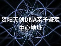 资阳无创DNA亲子鉴定中心地址