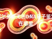 鄂尔多斯无创DNA亲子鉴定在哪里