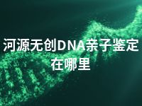 河源无创DNA亲子鉴定在哪里