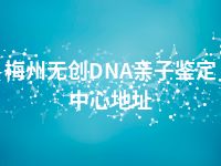 梅州无创DNA亲子鉴定中心地址