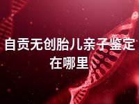 自贡无创胎儿亲子鉴定在哪里