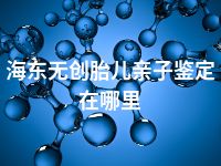 海东无创胎儿亲子鉴定在哪里