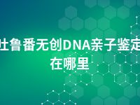 吐鲁番无创DNA亲子鉴定在哪里