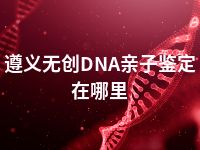 遵义无创DNA亲子鉴定在哪里