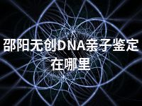 邵阳无创DNA亲子鉴定在哪里