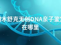 图木舒克无创DNA亲子鉴定在哪里