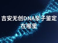 吉安无创DNA亲子鉴定在哪里