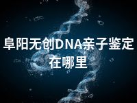 阜阳无创DNA亲子鉴定在哪里