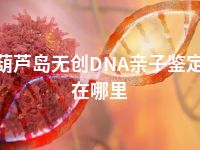 葫芦岛无创DNA亲子鉴定在哪里