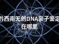 黔西南无创DNA亲子鉴定在哪里