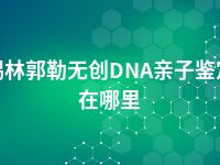 锡林郭勒无创DNA亲子鉴定在哪里