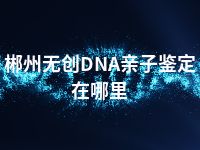 郴州无创DNA亲子鉴定在哪里