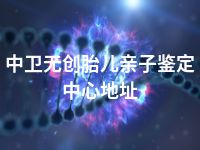 中卫无创胎儿亲子鉴定中心地址