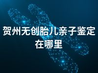 贺州无创胎儿亲子鉴定在哪里