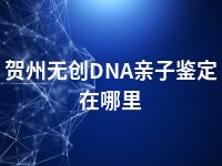 贺州无创DNA亲子鉴定在哪里