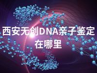 西安无创DNA亲子鉴定在哪里