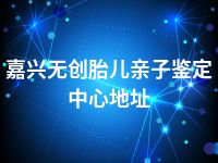 嘉兴无创胎儿亲子鉴定中心地址