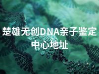 楚雄无创DNA亲子鉴定中心地址