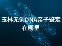 玉林无创DNA亲子鉴定在哪里