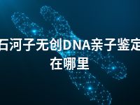 石河子无创DNA亲子鉴定在哪里