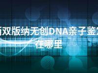 西双版纳无创DNA亲子鉴定在哪里