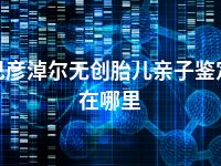 巴彦淖尔无创胎儿亲子鉴定在哪里