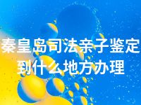 秦皇岛司法亲子鉴定到什么地方办理