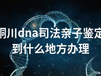 铜川dna司法亲子鉴定到什么地方办理