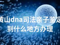 黄山dna司法亲子鉴定到什么地方办理