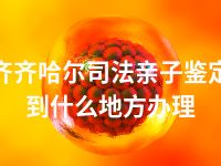 齐齐哈尔司法亲子鉴定到什么地方办理