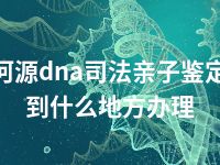 河源dna司法亲子鉴定到什么地方办理