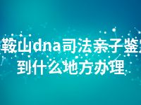 马鞍山dna司法亲子鉴定到什么地方办理