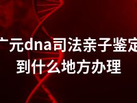 广元dna司法亲子鉴定到什么地方办理