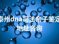 泰州dna司法亲子鉴定地址咨询