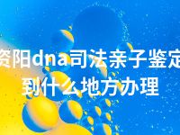 资阳dna司法亲子鉴定到什么地方办理