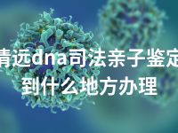 清远dna司法亲子鉴定到什么地方办理