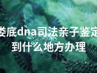 娄底dna司法亲子鉴定到什么地方办理