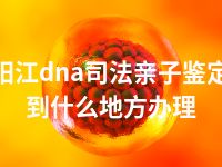 阳江dna司法亲子鉴定到什么地方办理