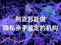 阿克苏能做隐私亲子鉴定的机构