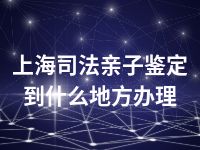 上海司法亲子鉴定到什么地方办理