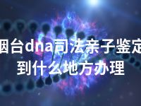 烟台dna司法亲子鉴定到什么地方办理