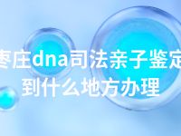 枣庄dna司法亲子鉴定到什么地方办理