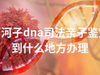 石河子dna司法亲子鉴定到什么地方办理