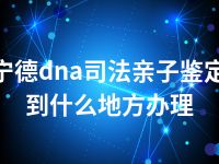 宁德dna司法亲子鉴定到什么地方办理