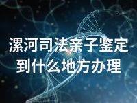 漯河司法亲子鉴定到什么地方办理