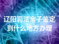 辽阳司法亲子鉴定到什么地方办理